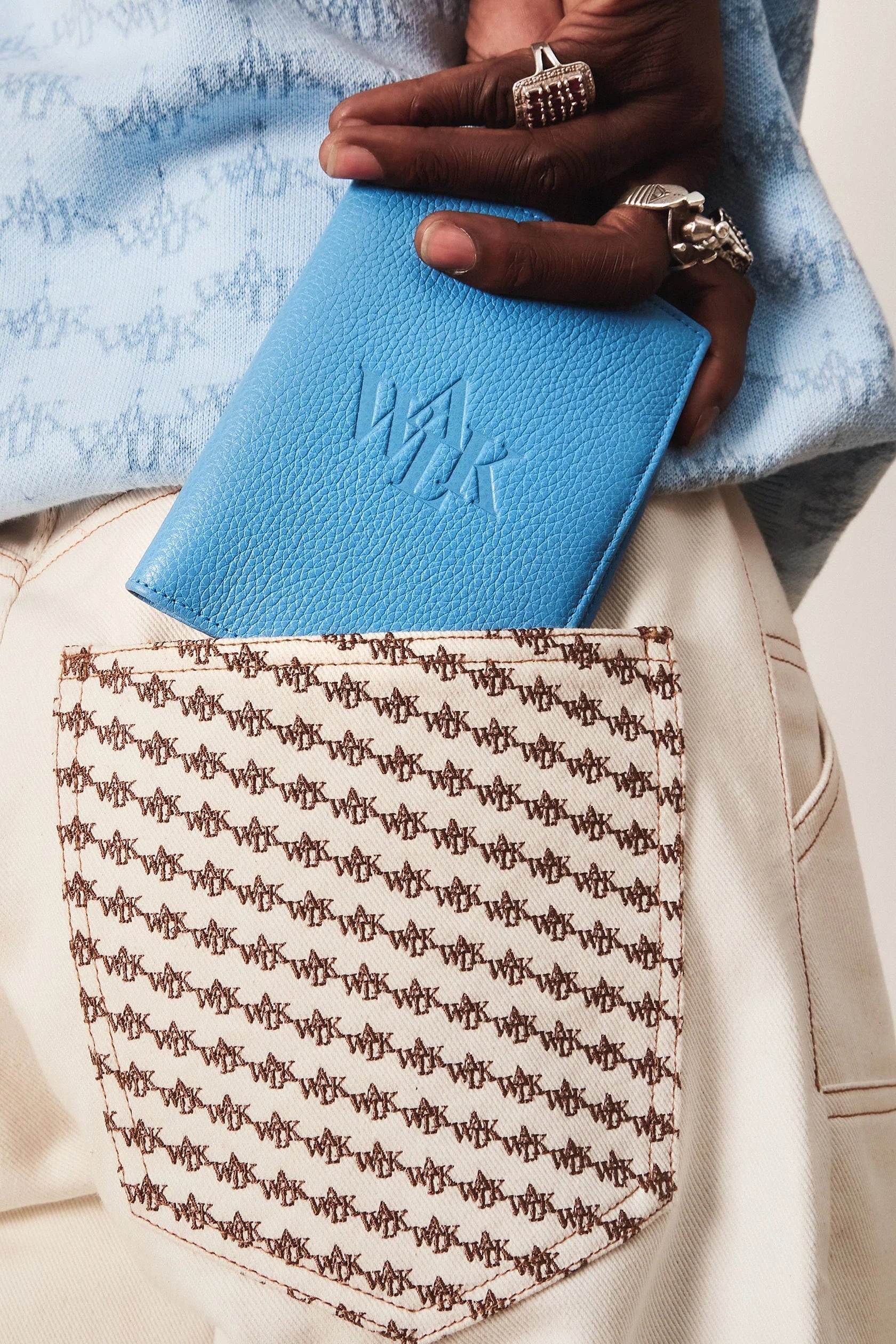 THE BLUE PASSPORT HOLDER 2