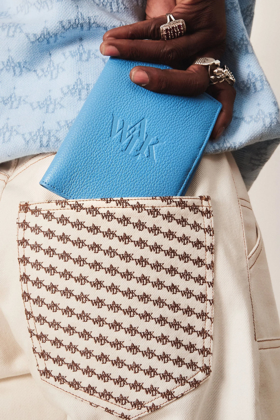 THE BLUE PASSPORT HOLDER