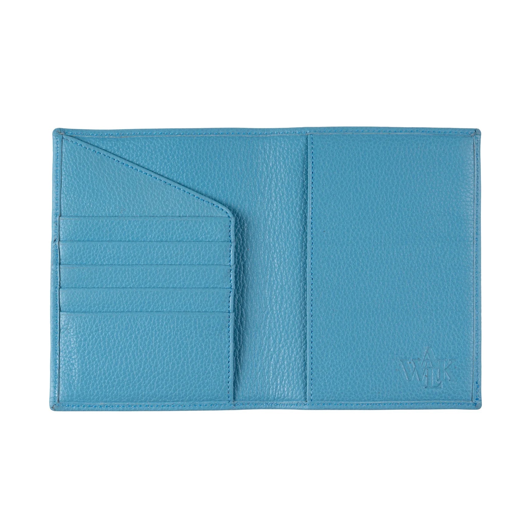 THE BLUE PASSPORT HOLDER 3
