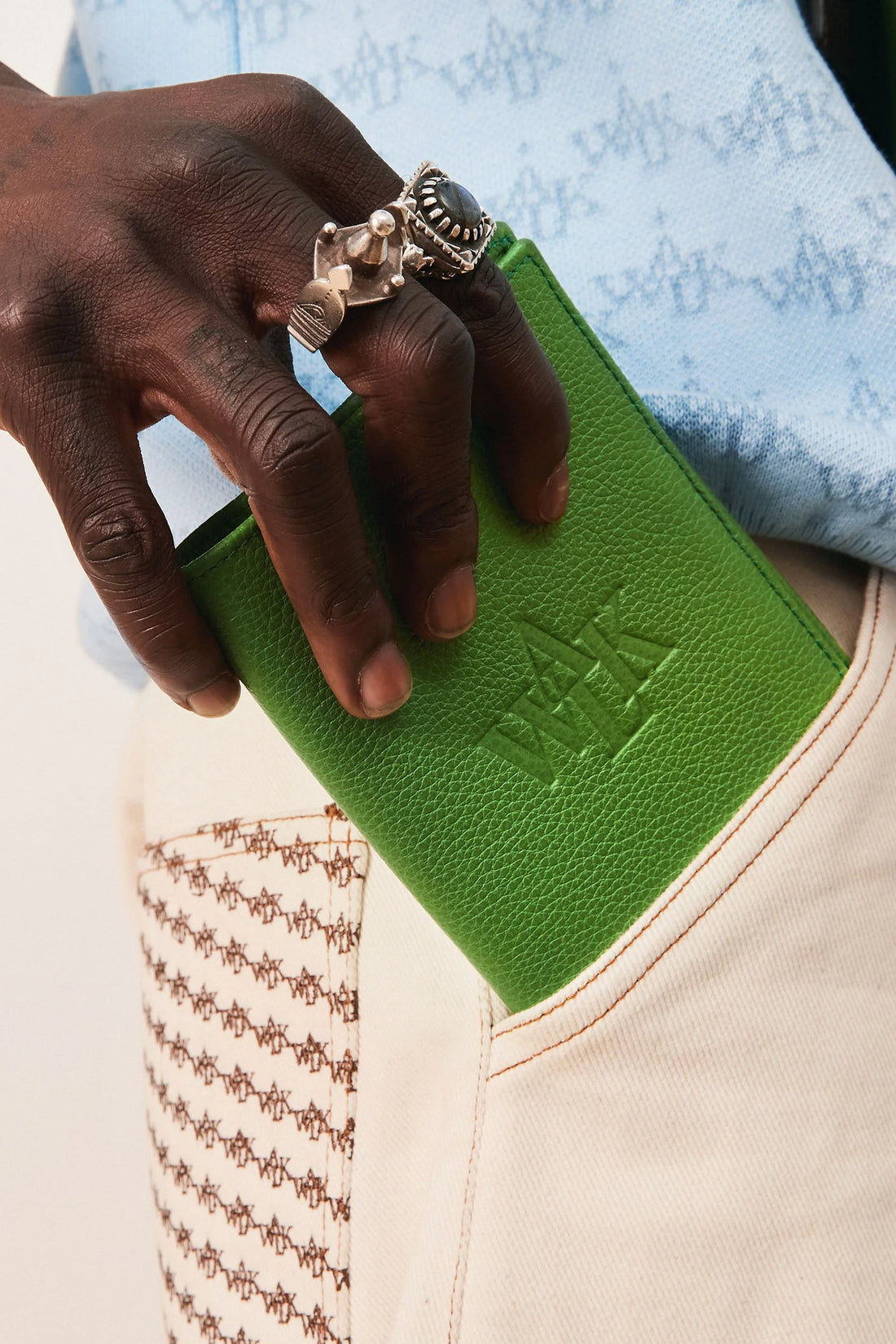 THE GREEN PASSPORT HOLDER