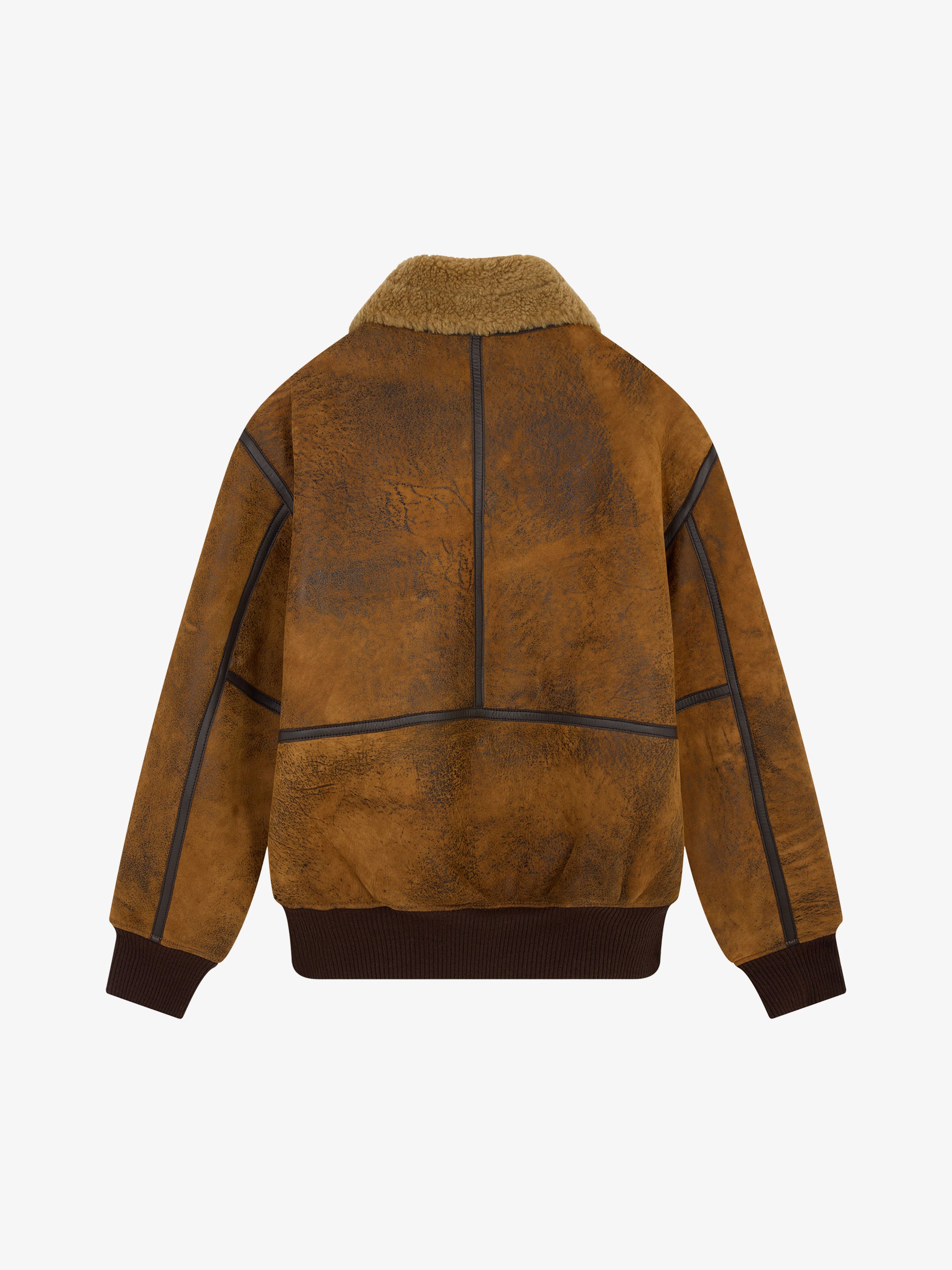 Walk in Paris x Schott NYC ® - The bomber jacket 2