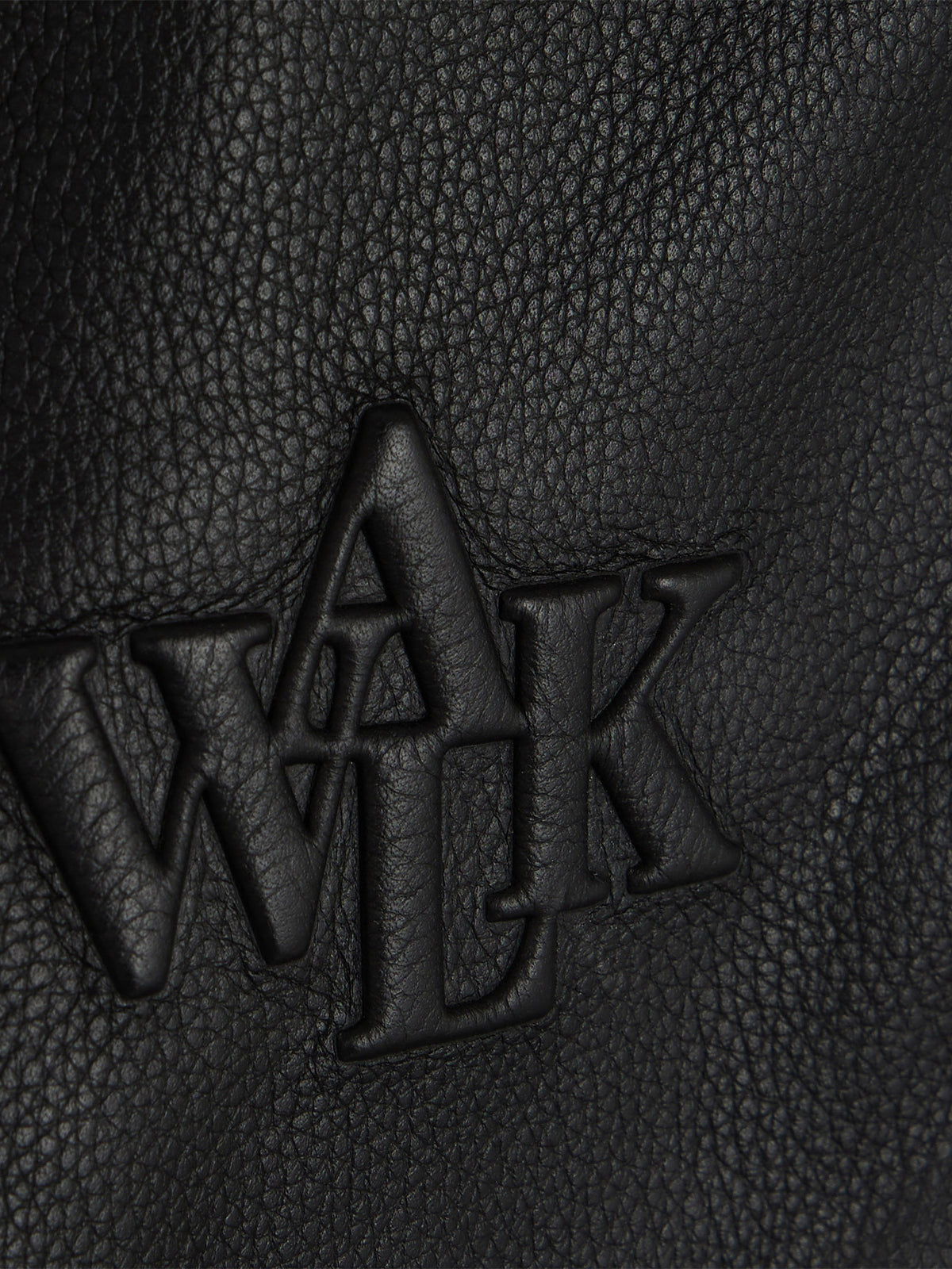 Walk in Paris X Schott NYC ® - Onyx flight jacket