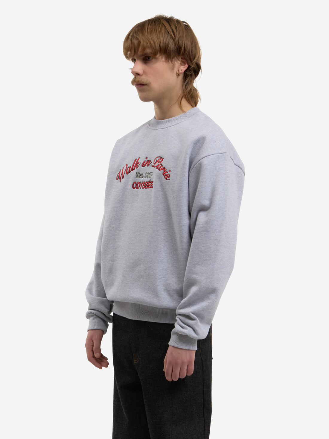 The Odyssée grey sweatshirt